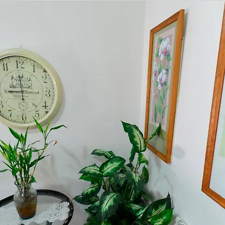 Guest house Hostal Bar Stop